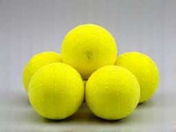 Indoor Pickleball Balls (6-pack)